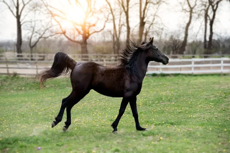 How to Make a Horse in Little Alchemy 2: Complete Guide and Combinations