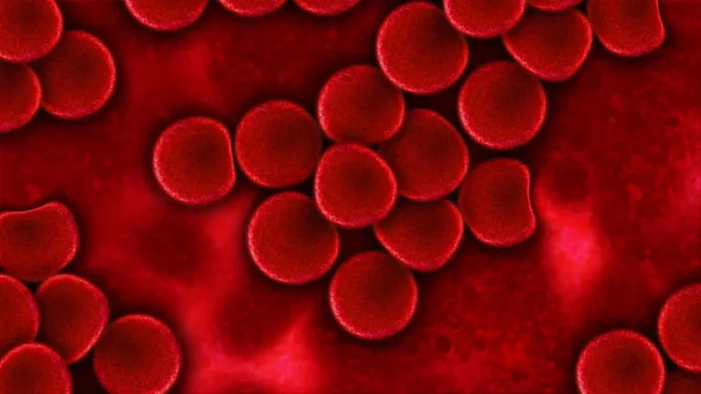 Unlocking the Secrets: How to Make Blood in Little Alchemy 1 and Other Exciting Combinations