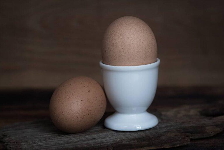 From Rain to Bird: The Journey of Creating an Egg in Little Alchemy 1