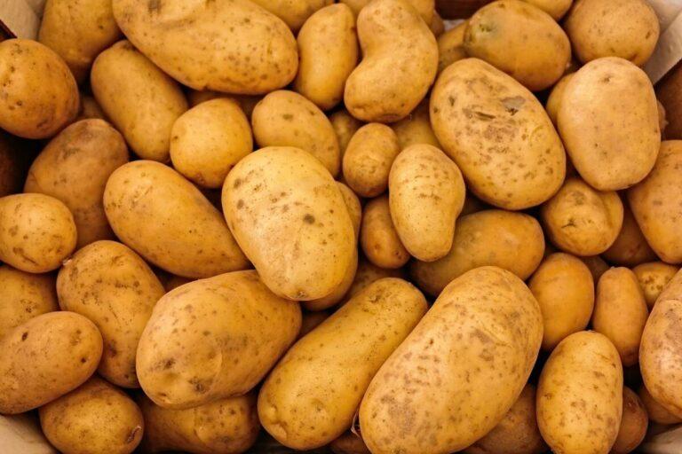 How to Make Potato in Little Alchemy 2: A Step-by-Step Guide
